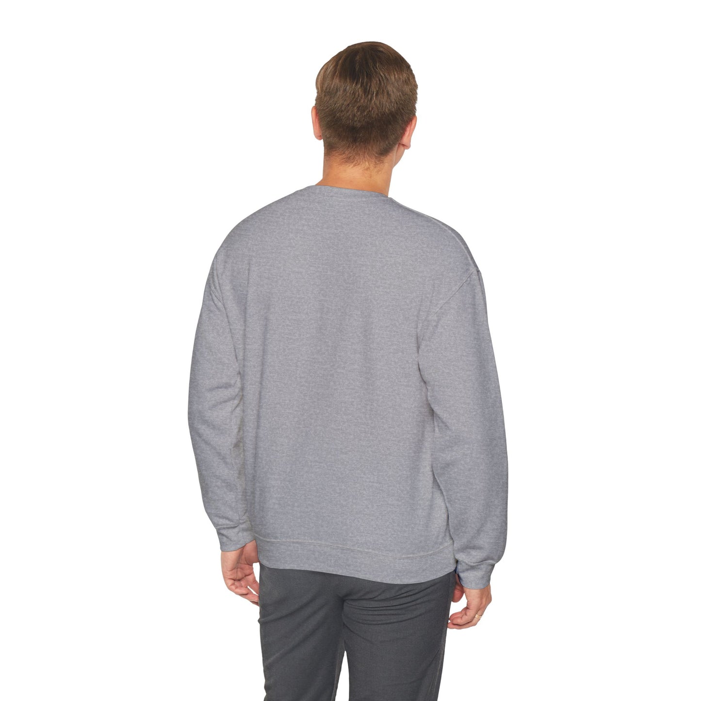Unisex Crewneck BABY DIEGO X Sweatshirt STONE GREY