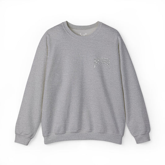 Unisex Crewneck BABY DIEGO X Sweatshirt STONE GREY